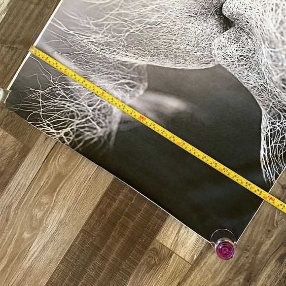 39 1/2 x 24” canvas print - Picture 3 of 5